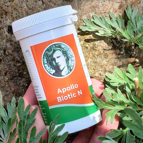 APOLLO BIOTIC N probiotisches Nahrungsergänzungsmittel mit Vitaminen